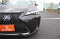 2019 Lexus Other