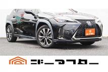 2019 Lexus Other