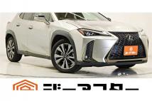 2019 Lexus Other