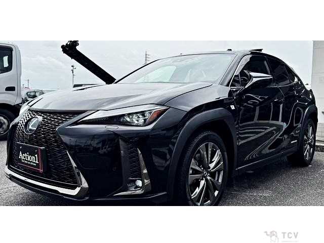 2019 Lexus Other