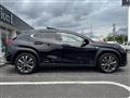 2019 Lexus Other