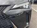2019 Lexus Other