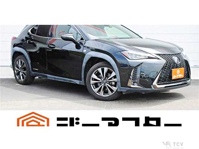 2019 Lexus Other