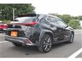 2019 Lexus Other