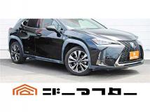 2019 Lexus Other