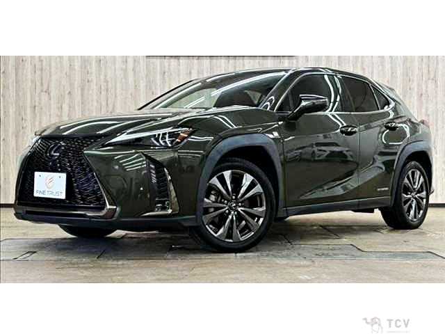 2019 Lexus Other