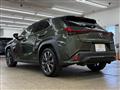 2019 Lexus Other