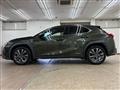 2019 Lexus Other
