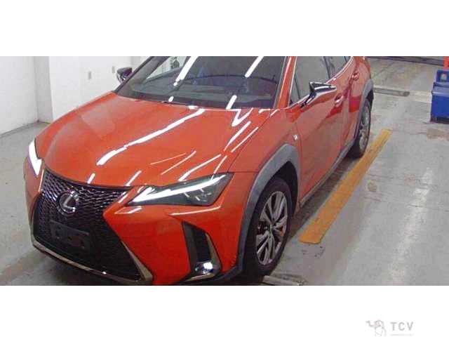2019 Lexus Other