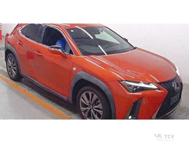 2019 Lexus Other