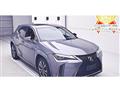 2019 Lexus Other