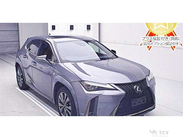 2019 Lexus Other