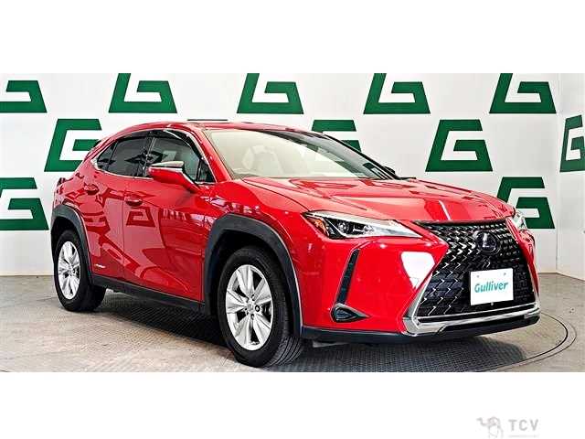 2019 Lexus Other