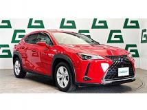 2019 Lexus Other