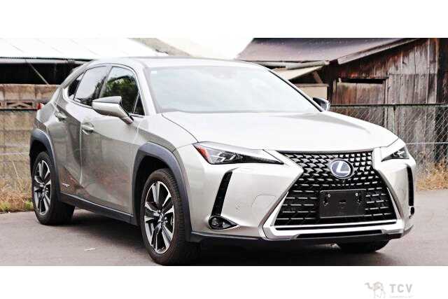 2019 Lexus Other