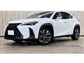 2019 Lexus Other