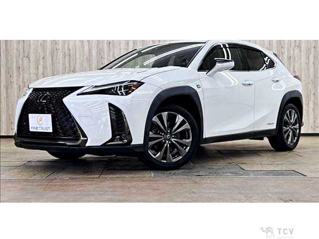 2019 Lexus Other