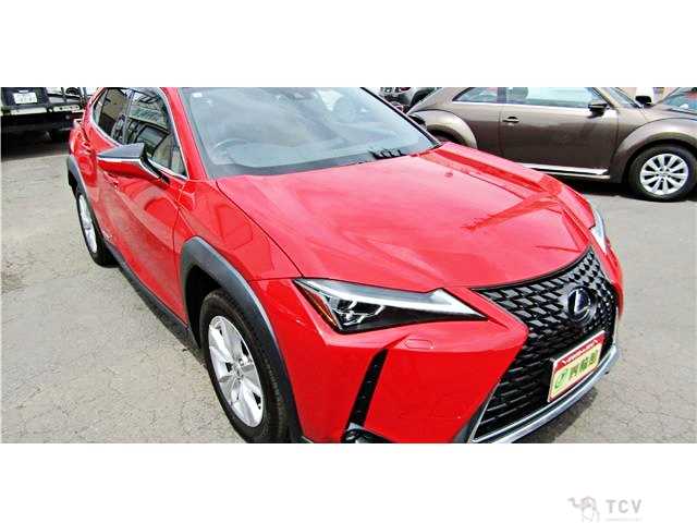 2019 Lexus Other