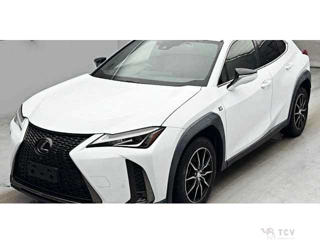 2019 Lexus Other