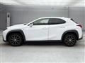 2019 Lexus Other