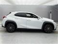 2019 Lexus Other
