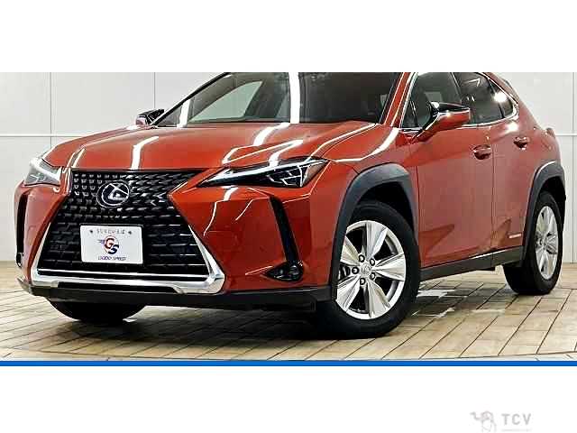 2019 Lexus Other