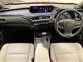 2019 Lexus Other