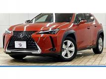 2019 Lexus Other