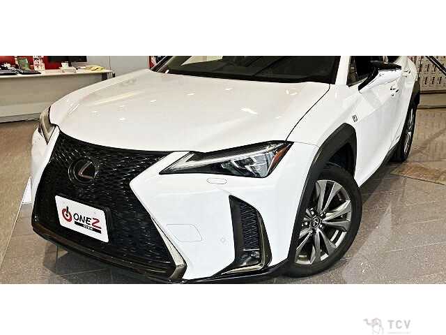 2019 Lexus Other