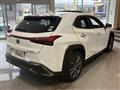 2019 Lexus Other