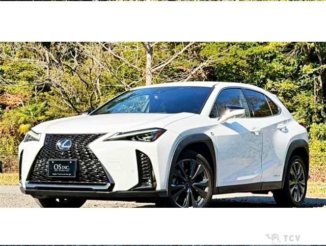 2019 Lexus Other