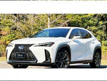 2019 Lexus Other