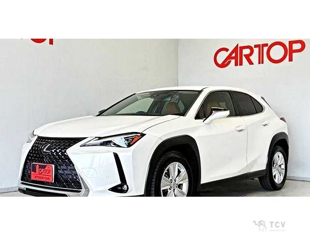 2019 Lexus Other