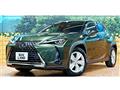 2019 Lexus Other