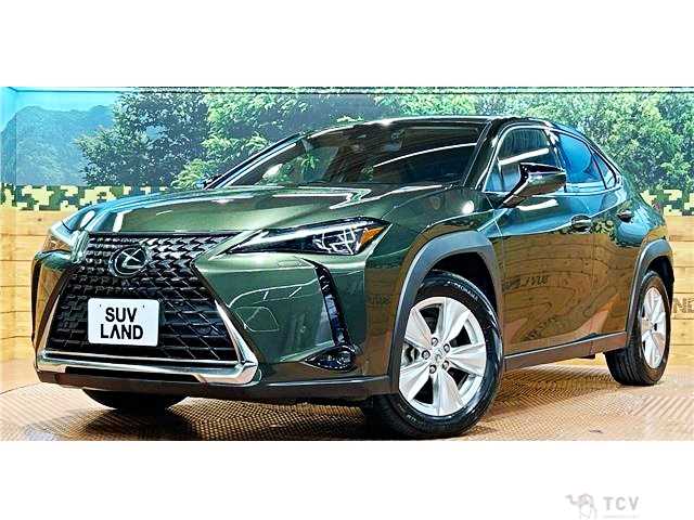 2019 Lexus Other