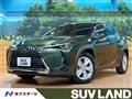 2019 Lexus Other