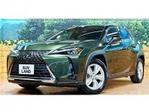 2019 Lexus Other