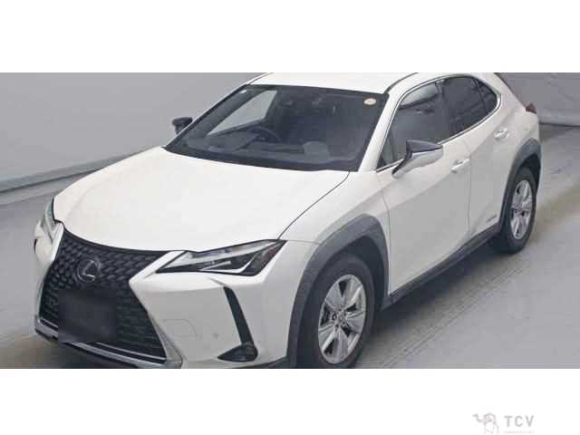 2019 Lexus Other
