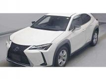 2019 Lexus Other