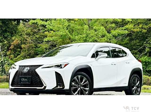 2019 Lexus Other