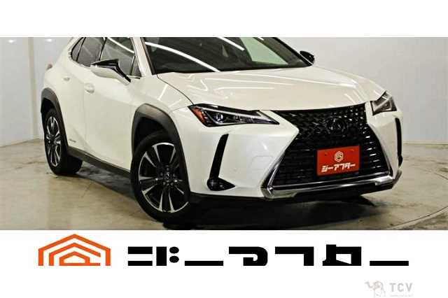 2019 Lexus Other