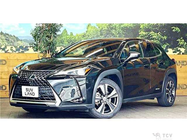 2019 Lexus Other