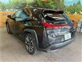 2019 Lexus Other