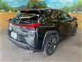 2019 Lexus Other