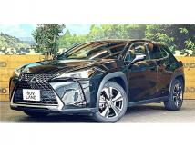 2019 Lexus Other
