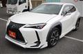 2019 Lexus Other