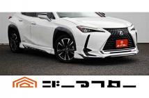 2019 Lexus Other