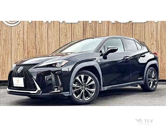 2019 Lexus Other