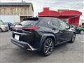 2019 Lexus Other