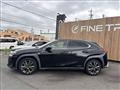 2019 Lexus Other